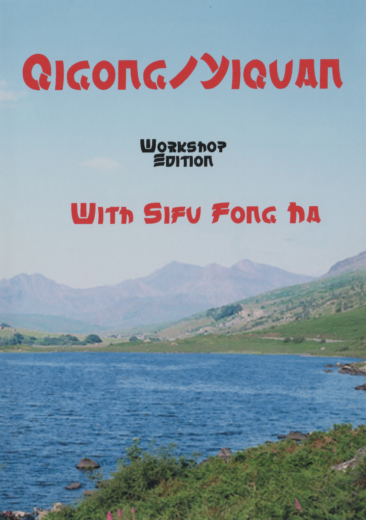 Qigong Yiquan Workshop Edition DVD by Fong Ha (Preowned)