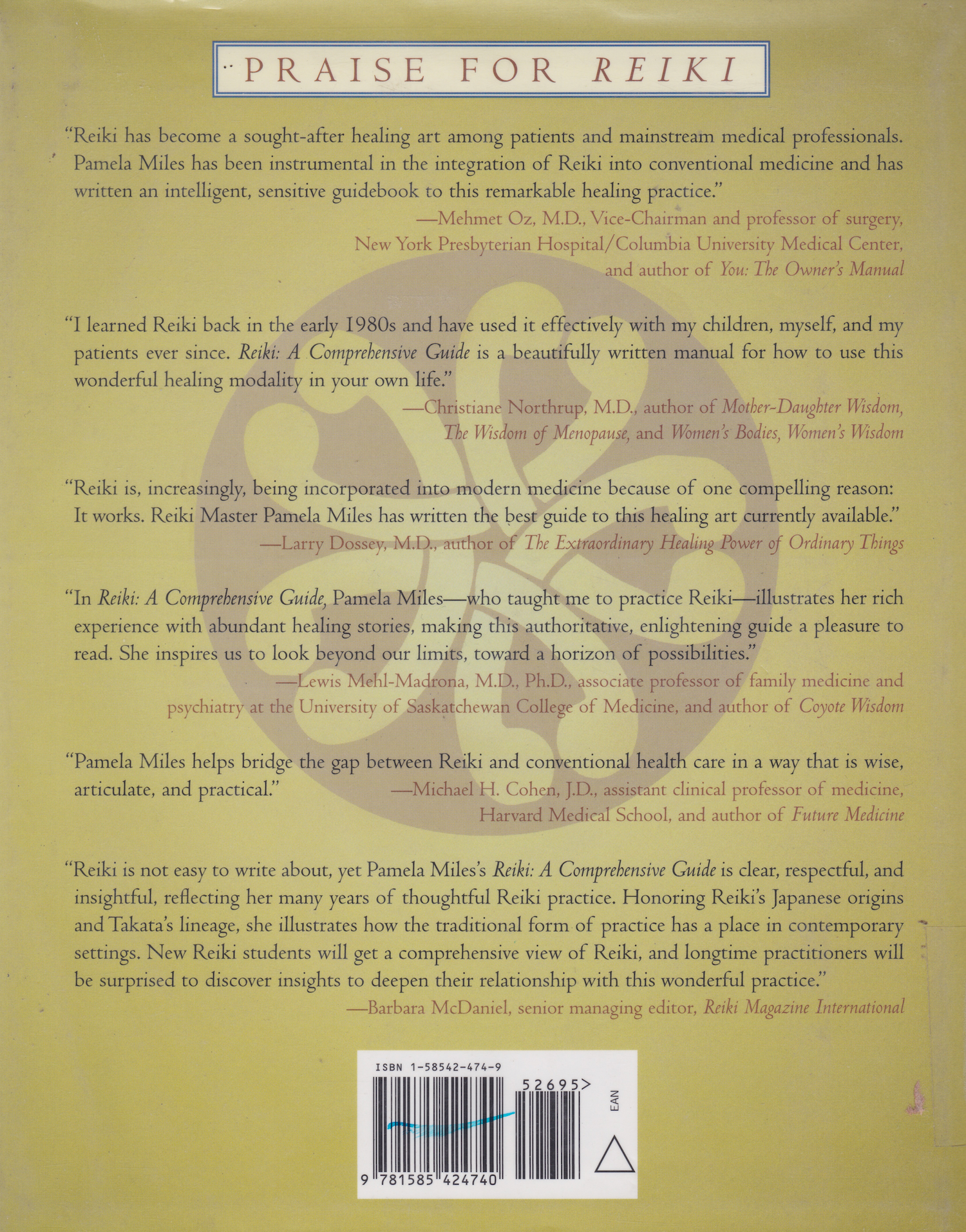 Reiki: A Comprehensive Guide Book by Pamela Miles (Hardcover) (Preowned)