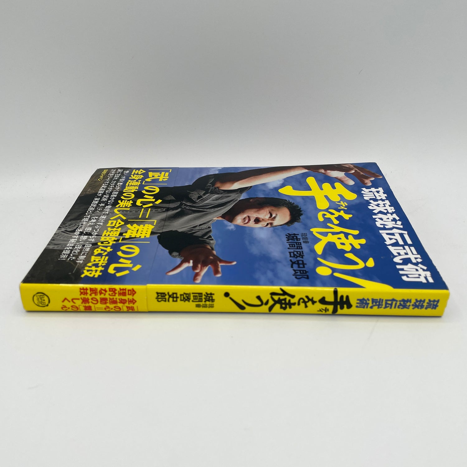 Ryukyu Secret Martial Arts Book by Keishiro Shiroma