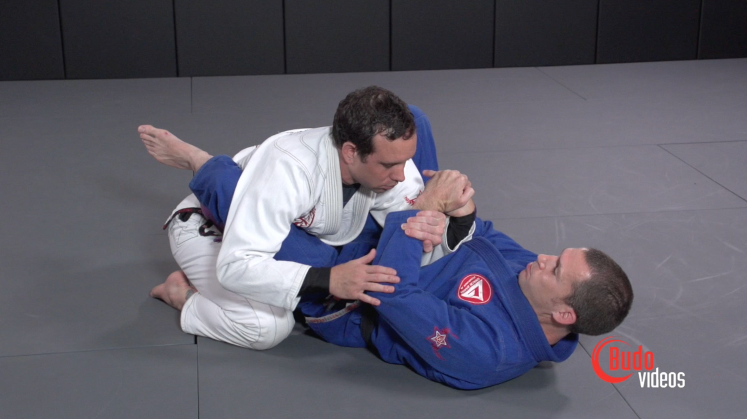 Effective Wristlocks for BJJ Vol 1 DVD by Budo Jake - Budovideos Inc