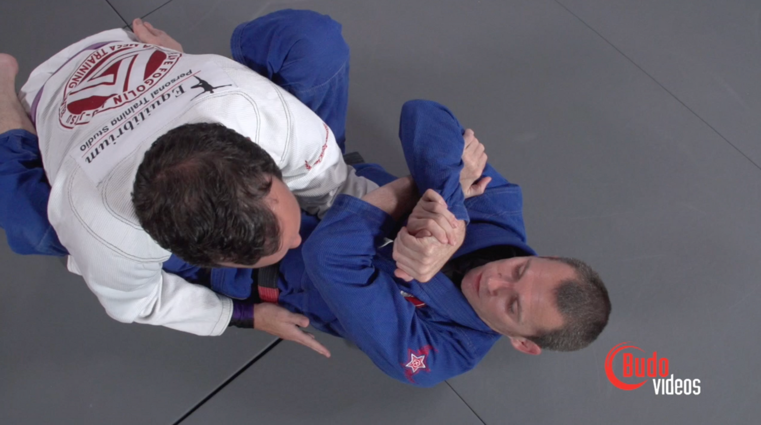 Effective Wristlocks for BJJ Vol 1 DVD by Budo Jake - Budovideos Inc