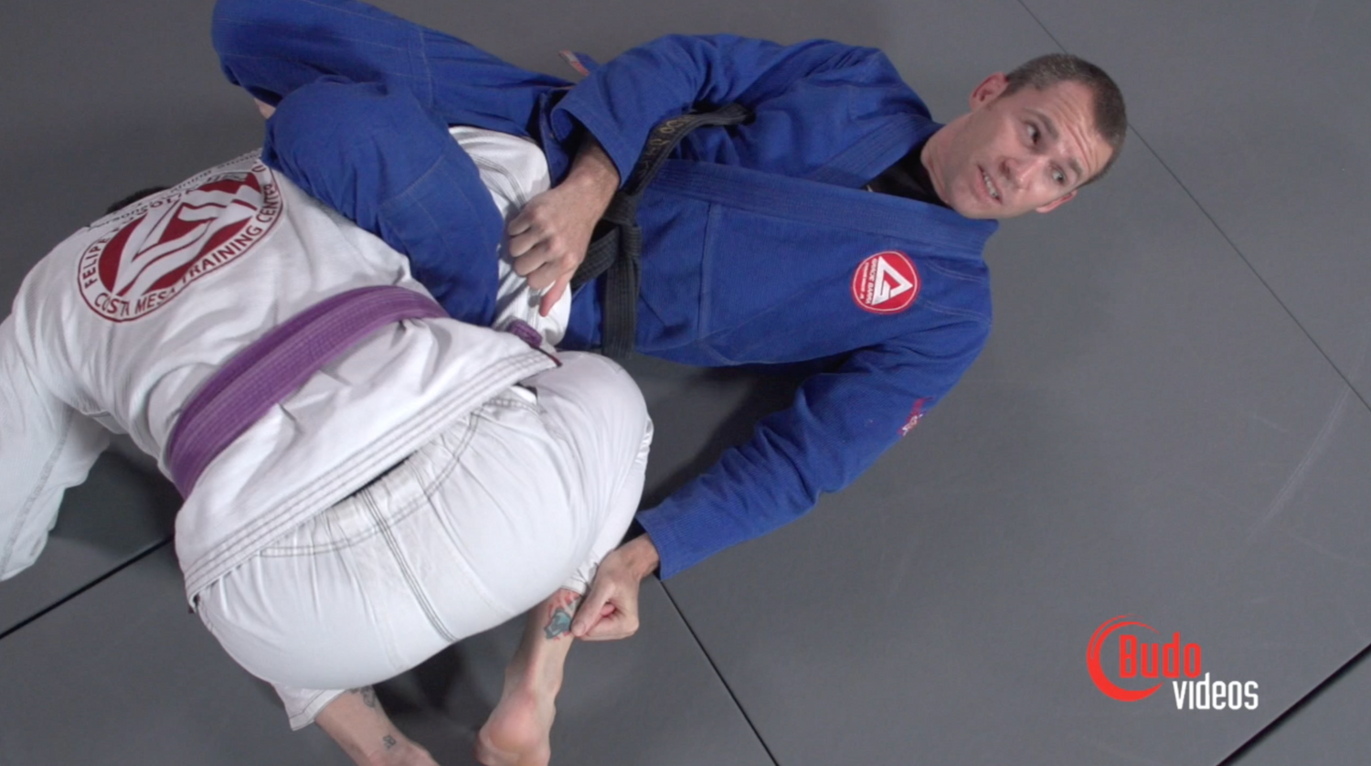 Effective Wristlocks for BJJ Vol 1 DVD by Budo Jake - Budovideos Inc