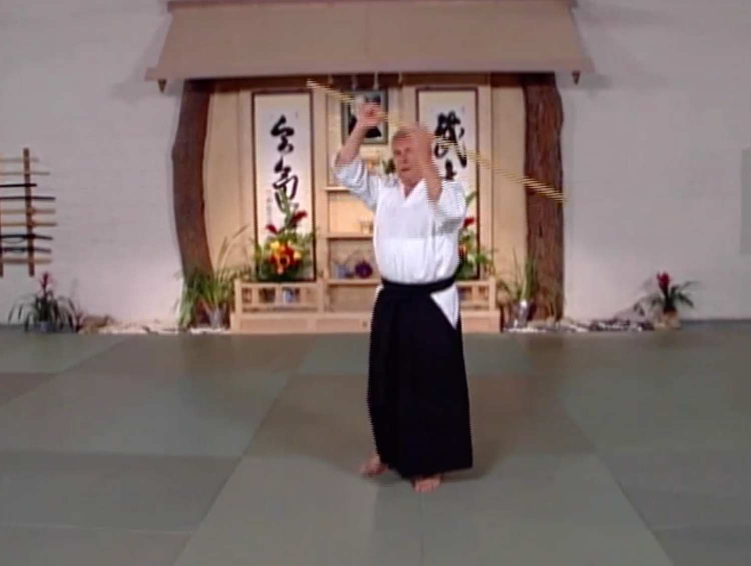 Misogi: Purification of Mind & Body w John Stevens (On Demand)