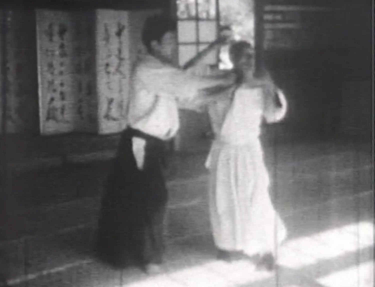 Morihei Ueshiba & Aikido 4: Way of Harmony DVD (Preowned) - Budovideos