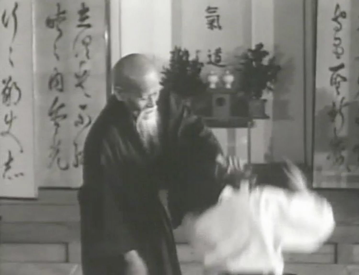 Morihei Ueshiba & Aikido 4: Way of Harmony DVD (Preowned) - Budovideos