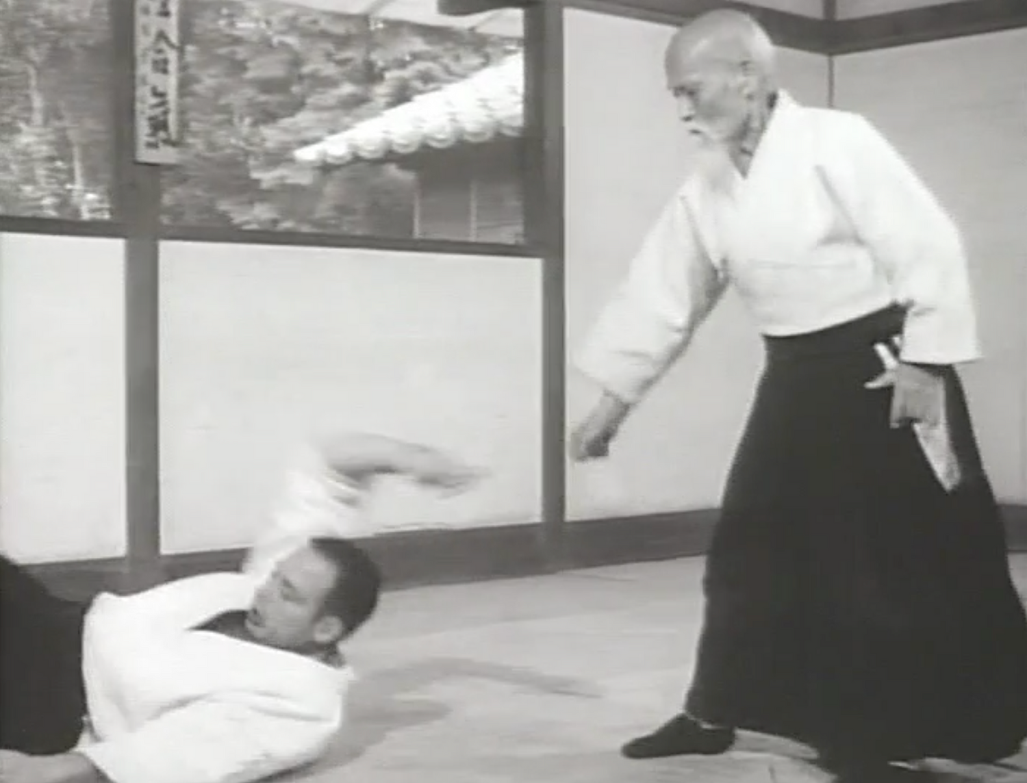 Morihei Ueshiba & Aikido 5: Divine Techniques DVD (Preowned) - Budovideos