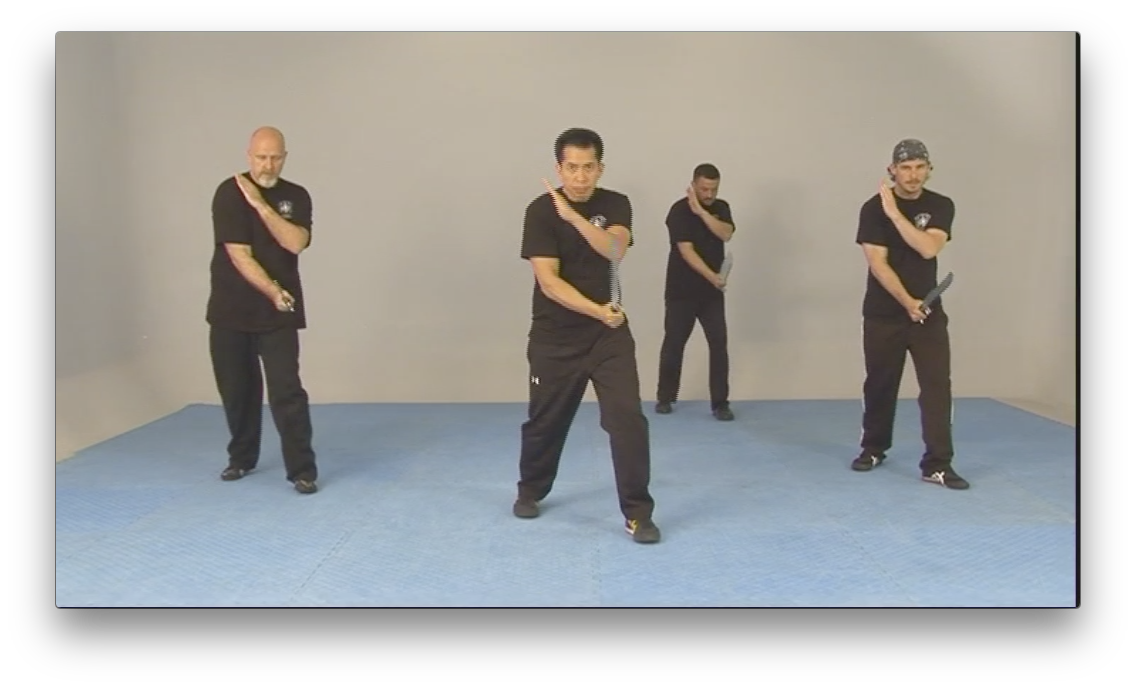 Lameco Eskrima Single Sword DVD with Dino Flores