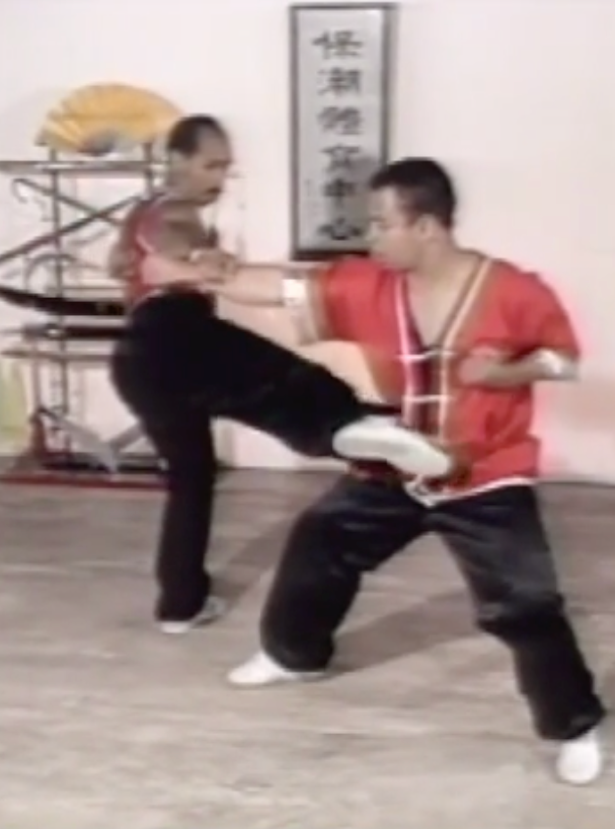 Mastering Wushu 5 DVD Set by Earl Blijd (Preowned)