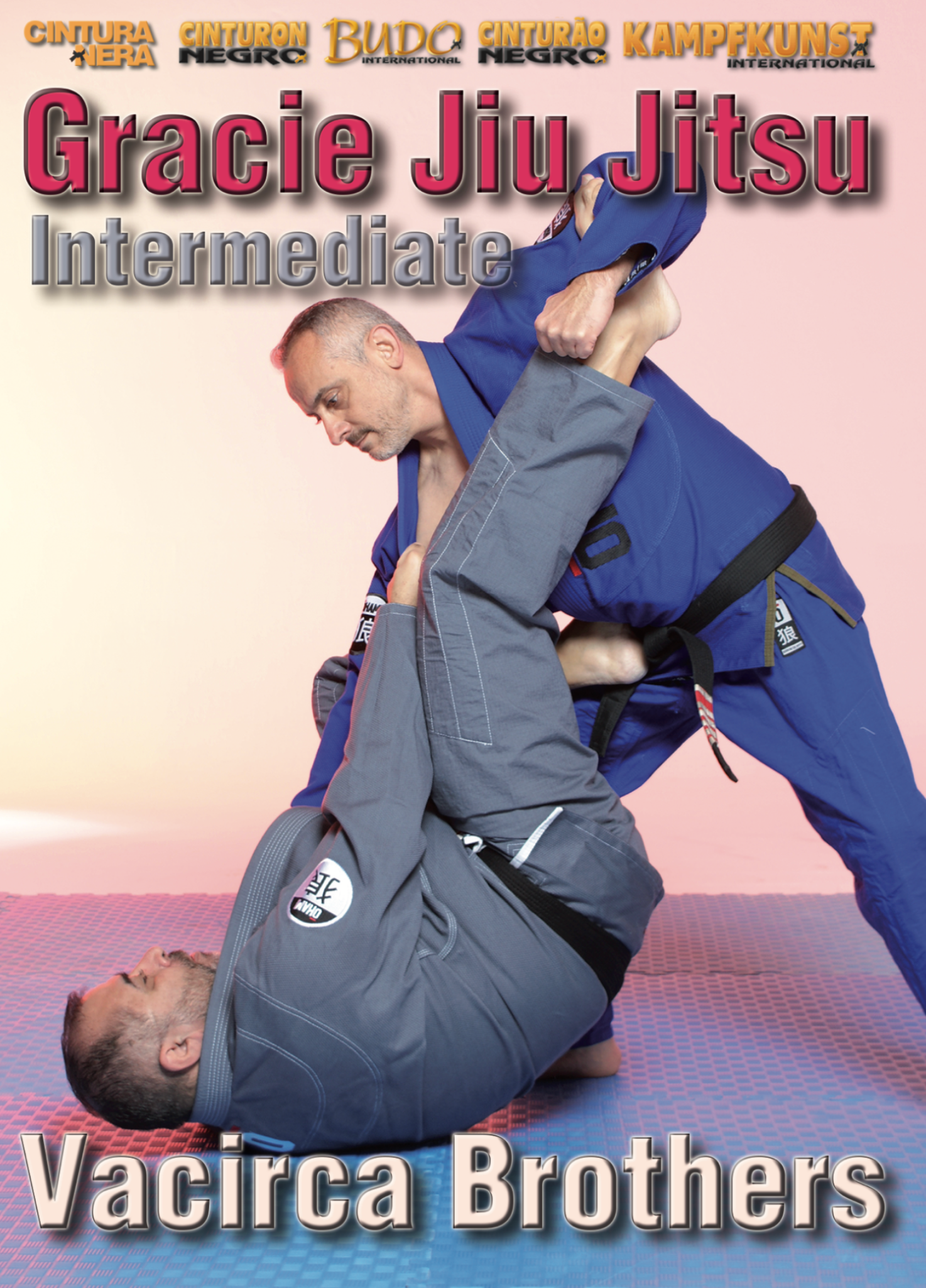 Gracie Jiu-Jitsu Intermediate by Vacirca Brothers (On Demand)