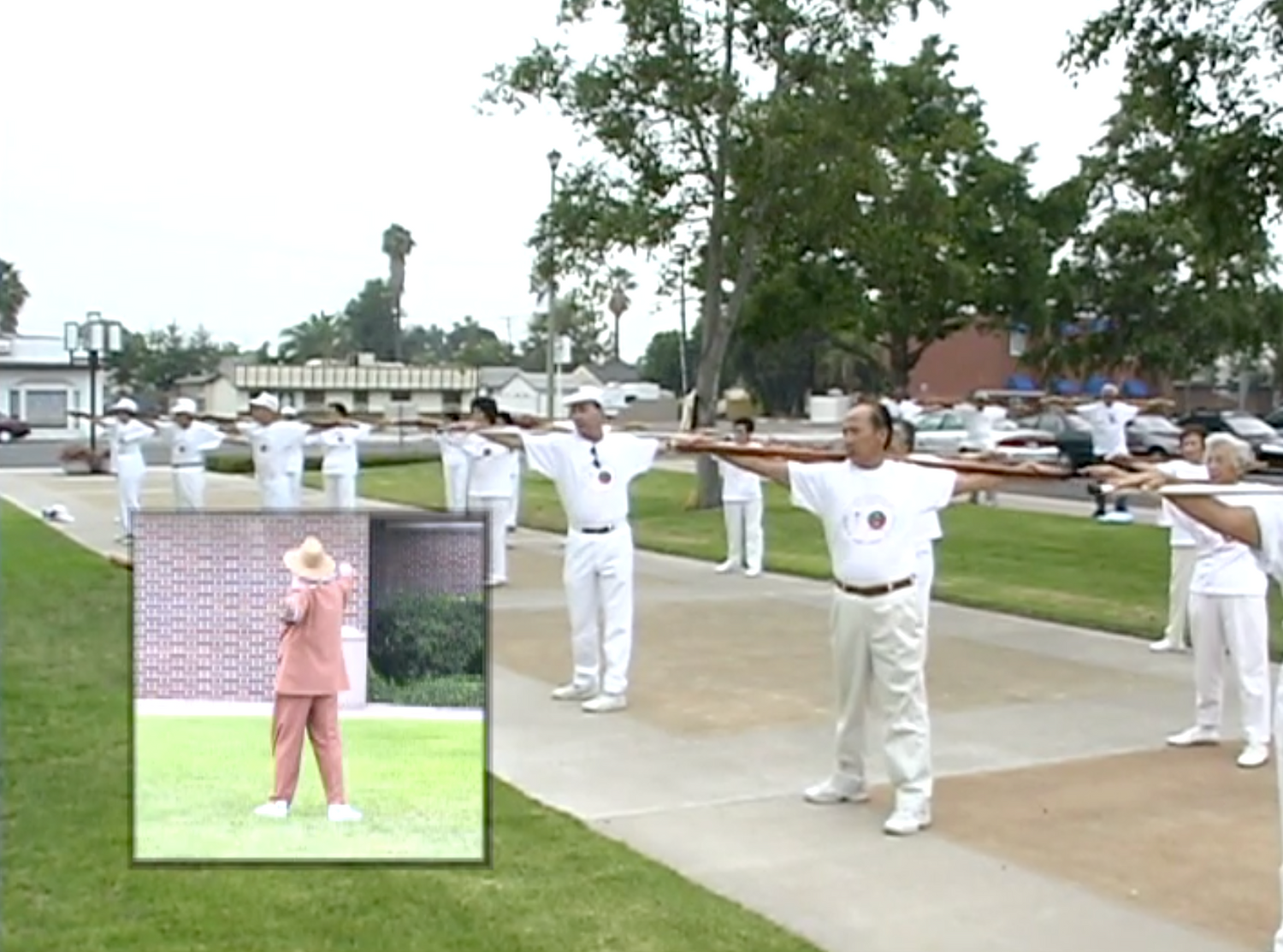 Longevity Stick Art for Vitality DVD by Mai Bac Dau (Preowned)