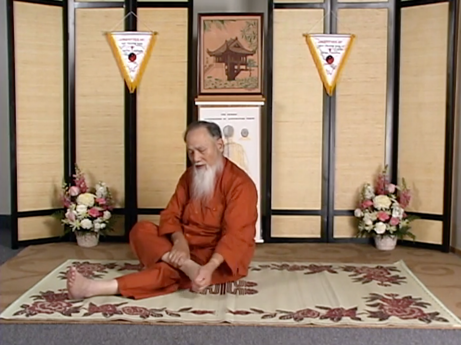 Longevity Stick Art for Vitality DVD by Mai Bac Dau (Preowned)