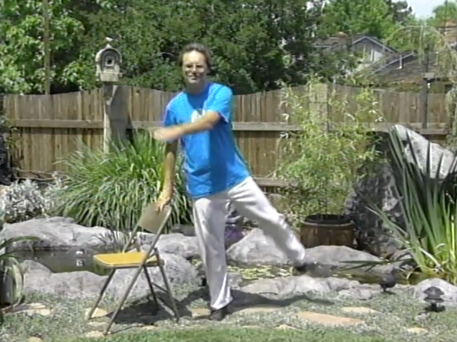 Tai Chi for Seniors DVD by Mark Johnson (Preowned)