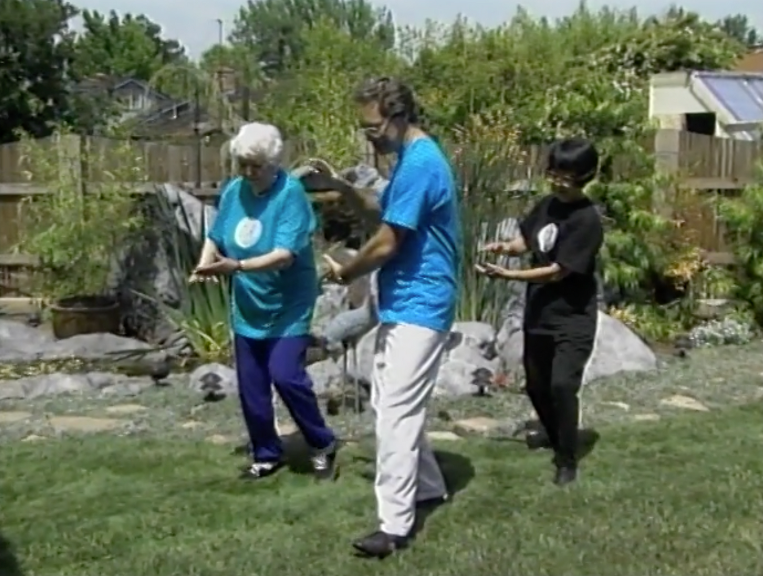 Tai Chi for Seniors DVD by Mark Johnson (Preowned)