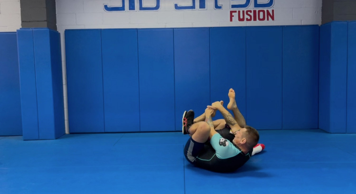 Wrestle Jitsu 2 DVD Set by Vladislav Koulikov