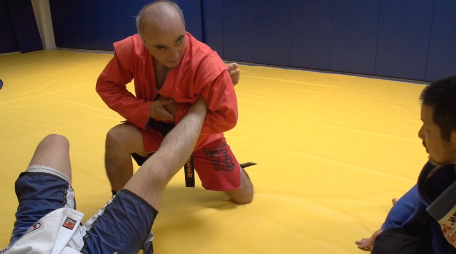 Dynamic Aikisambo DVD with Kenji Nakazawa