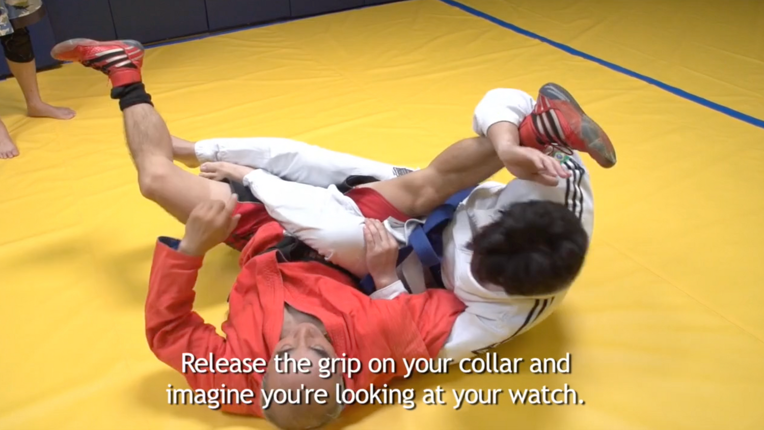 Dynamic Aikisambo DVD with Kenji Nakazawa