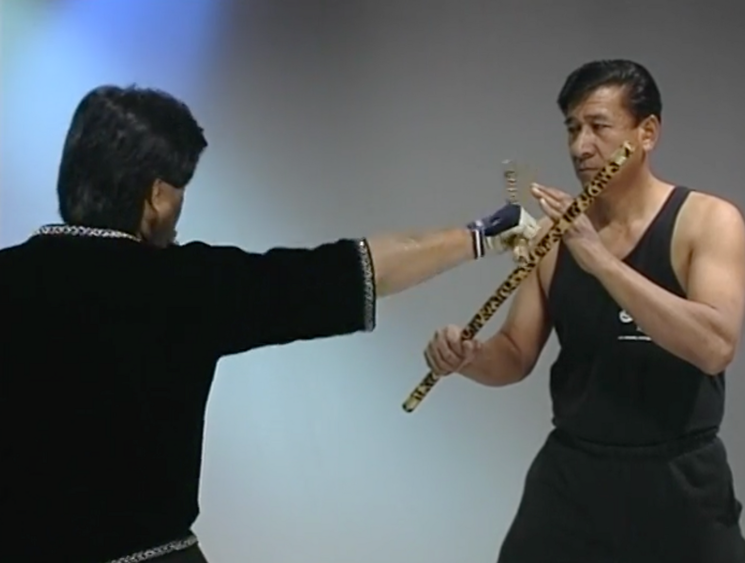 Stickboxing DVD with Ted Lucaylucay