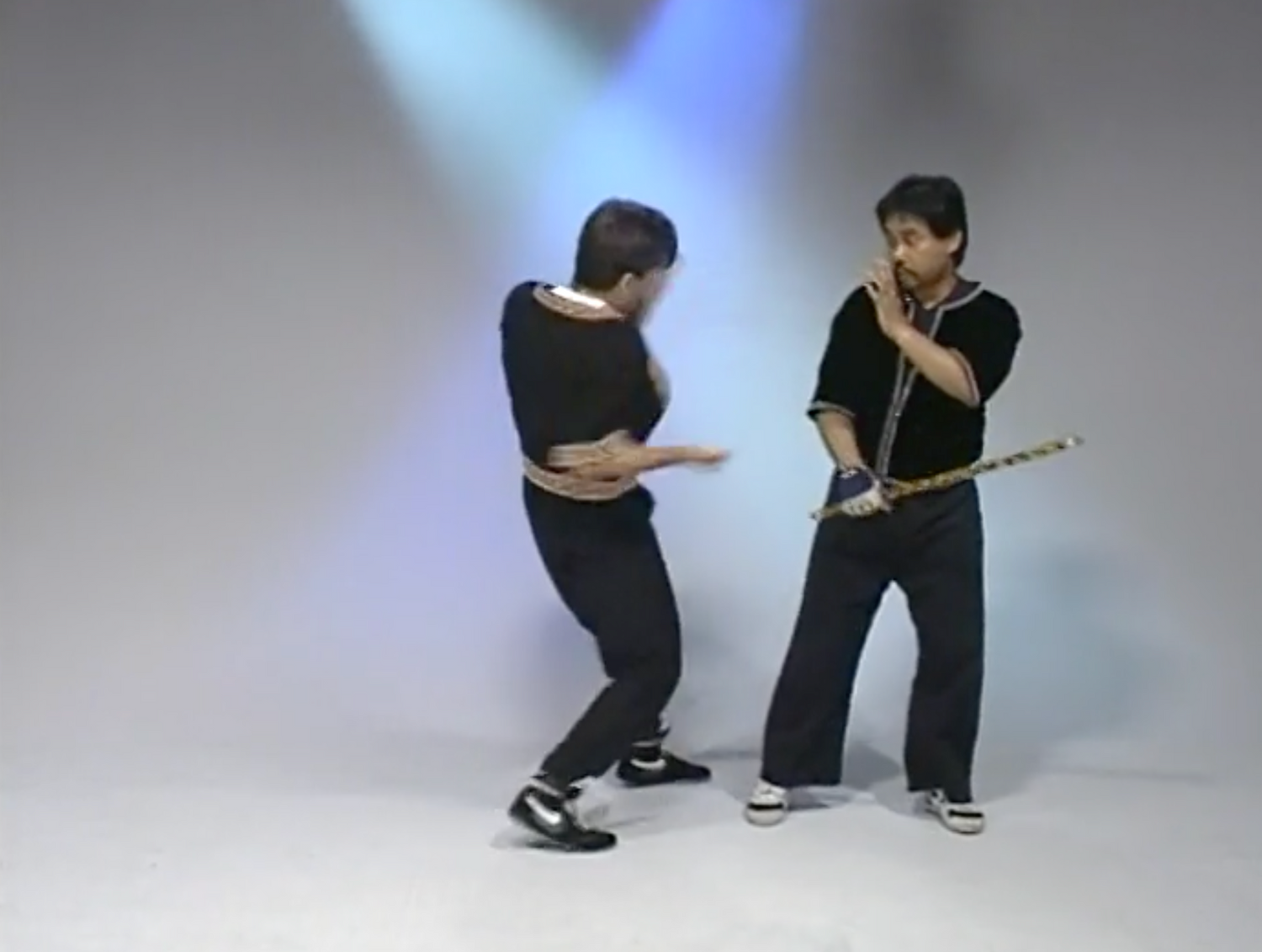 Stickboxing DVD with Ted Lucaylucay