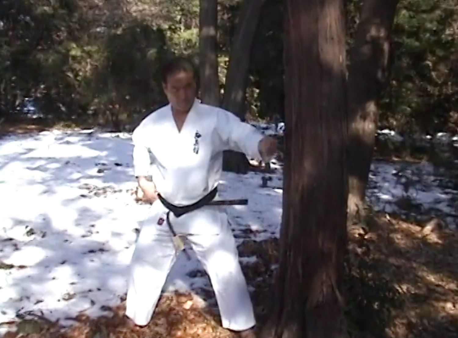 Tatsujin Vol 1: For Those Searching the Secrets of the Martial Arts Book & DVD (Preowned)