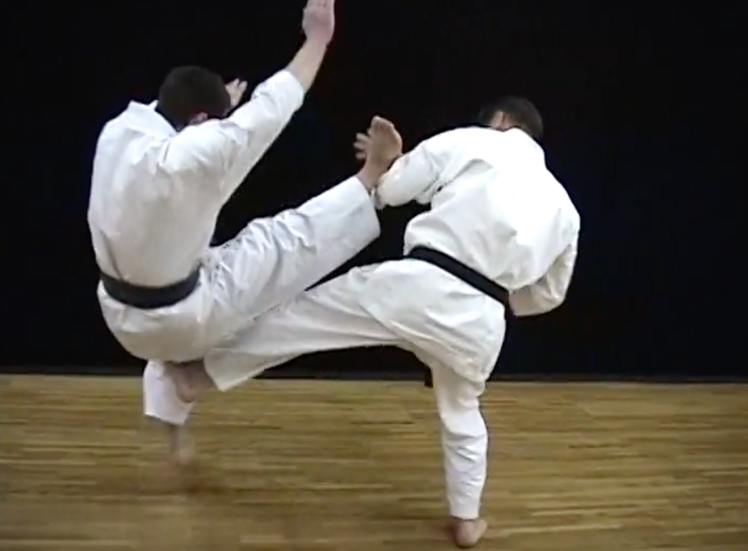 Tatsujin Vol 1: For Those Searching the Secrets of the Martial Arts Book & DVD (Preowned)