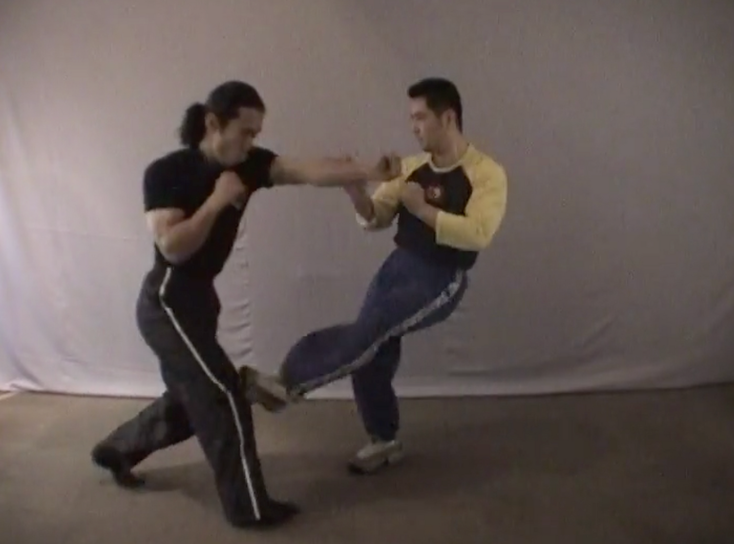 Tatsujin Vol 1: For Those Searching the Secrets of the Martial Arts Book & DVD (Preowned)