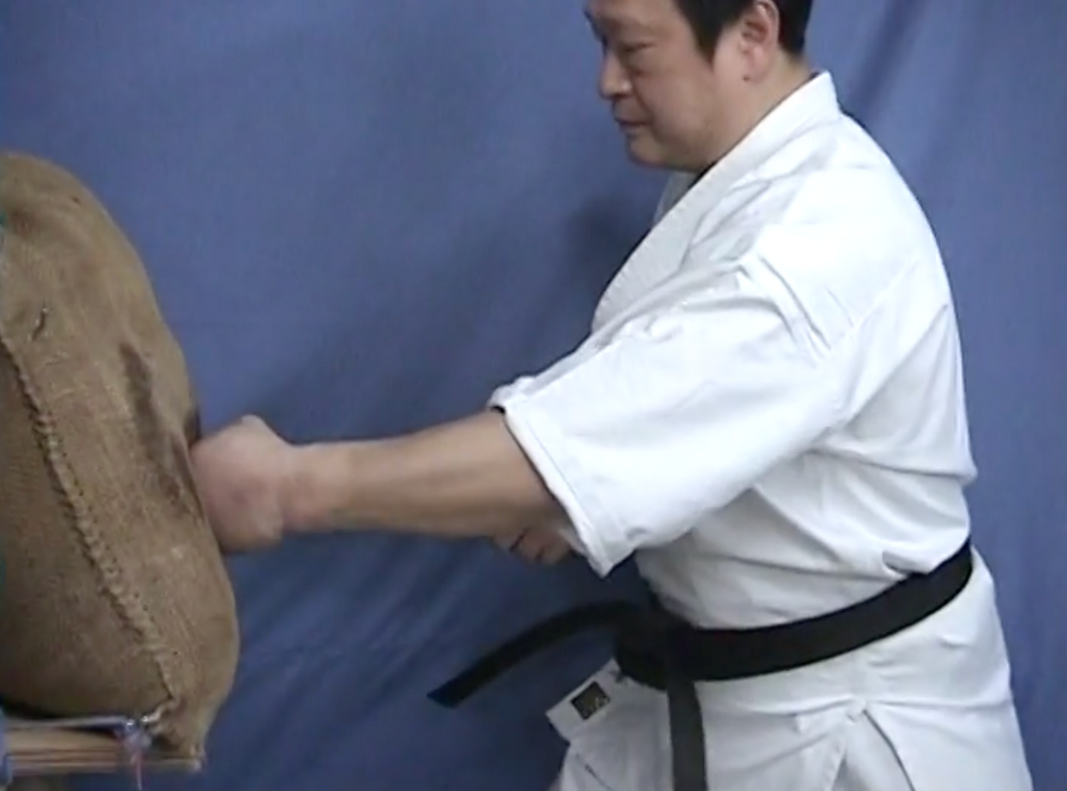 Tatsujin Vol 2: Strongest Legends of Karate Book & DVD (Preowned)