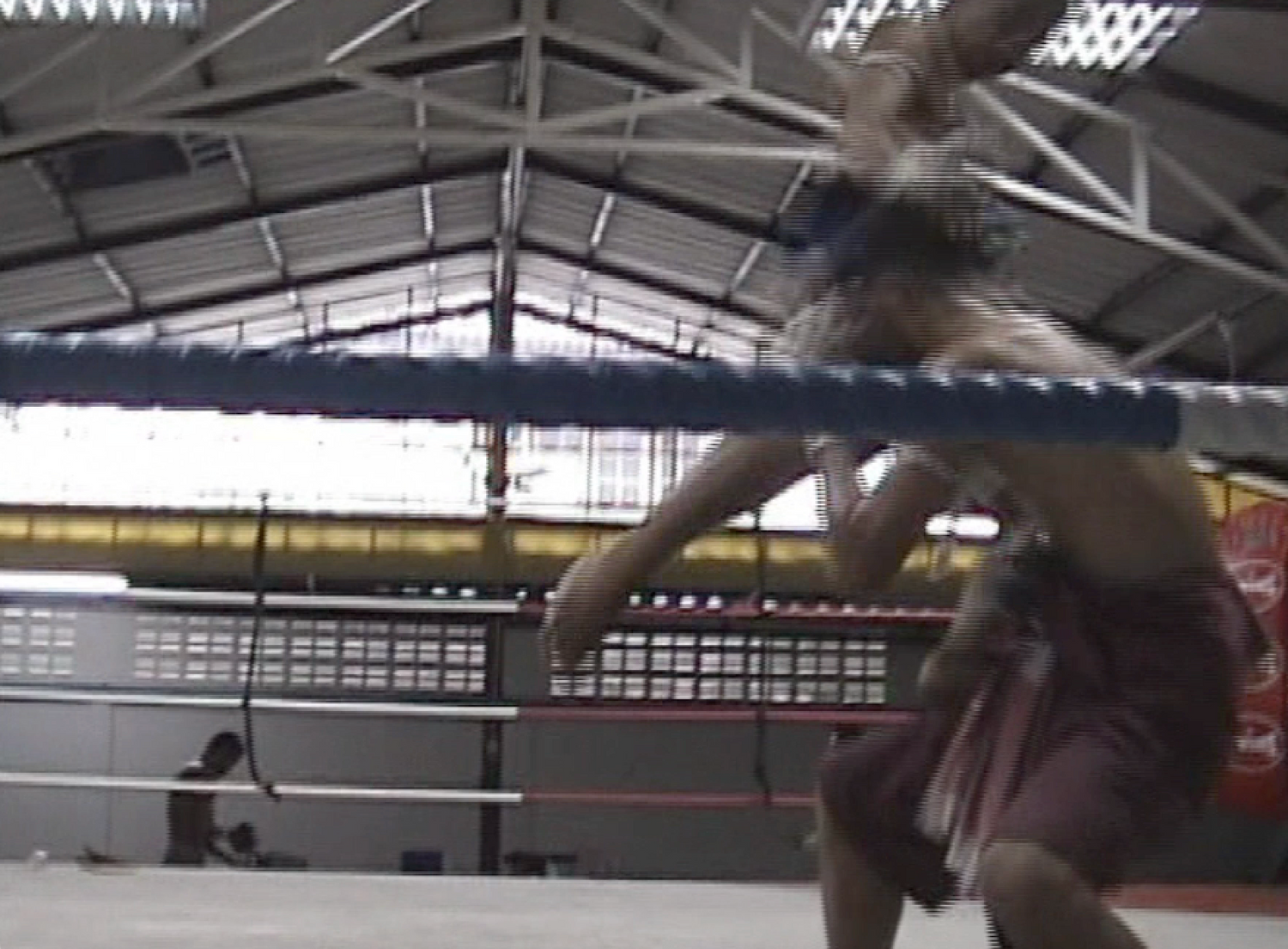 Tatsujin Vol 4: Strongest Combat Techniques Book & DVD (Preowned)