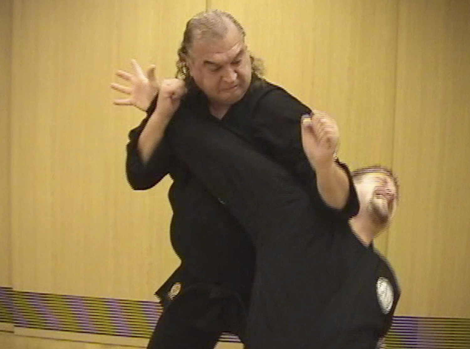 Tatsujin Vol 4: Strongest Combat Techniques Book & DVD (Preowned)