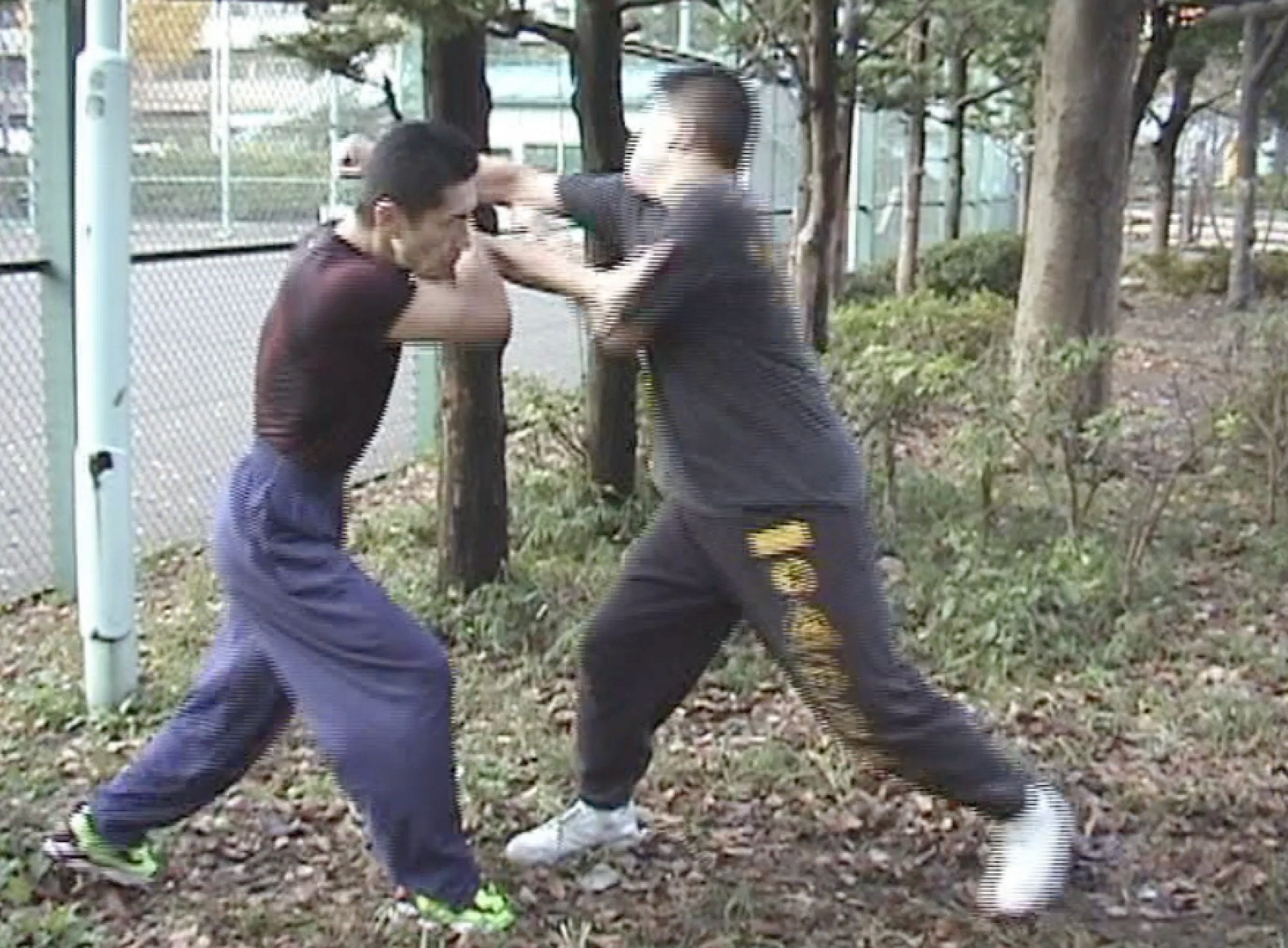 Tatsujin Vol 4: Strongest Combat Techniques Book & DVD (Preowned)