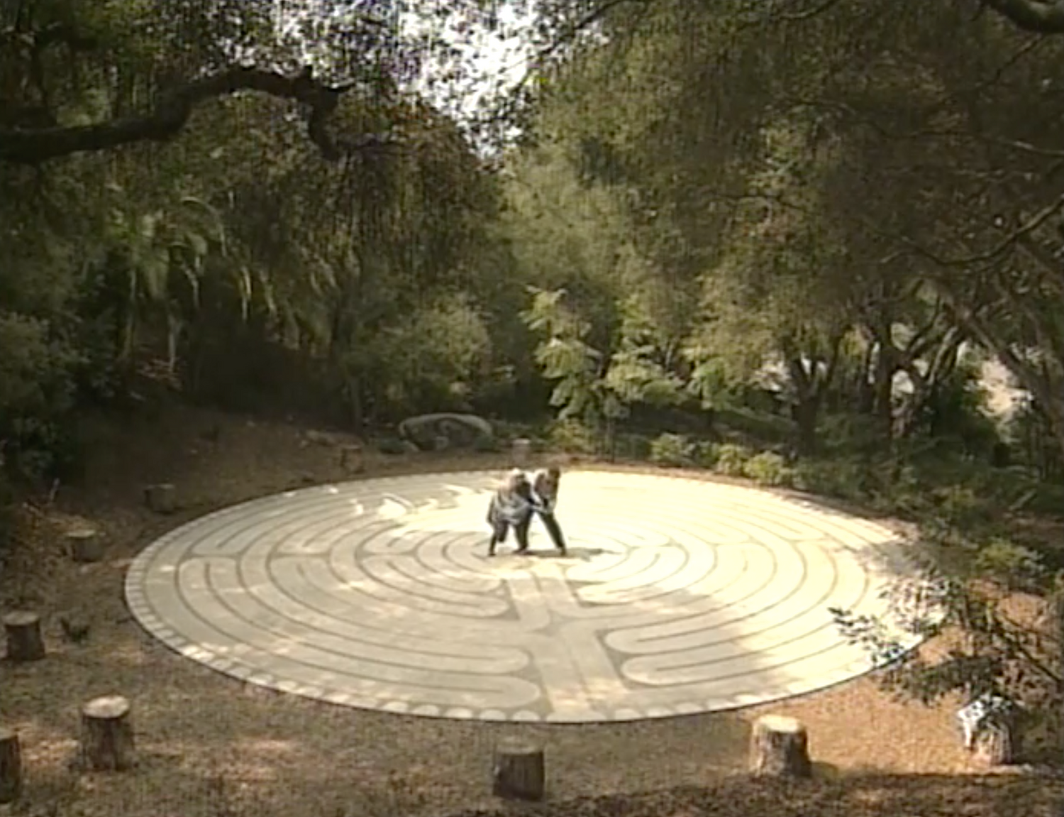 Tai Qui Functional Tai Chi DVD with DeeJay (Preowned)