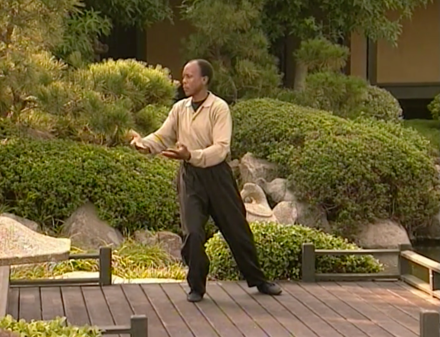 Tai Qui Functional Tai Chi DVD with DeeJay (Preowned)