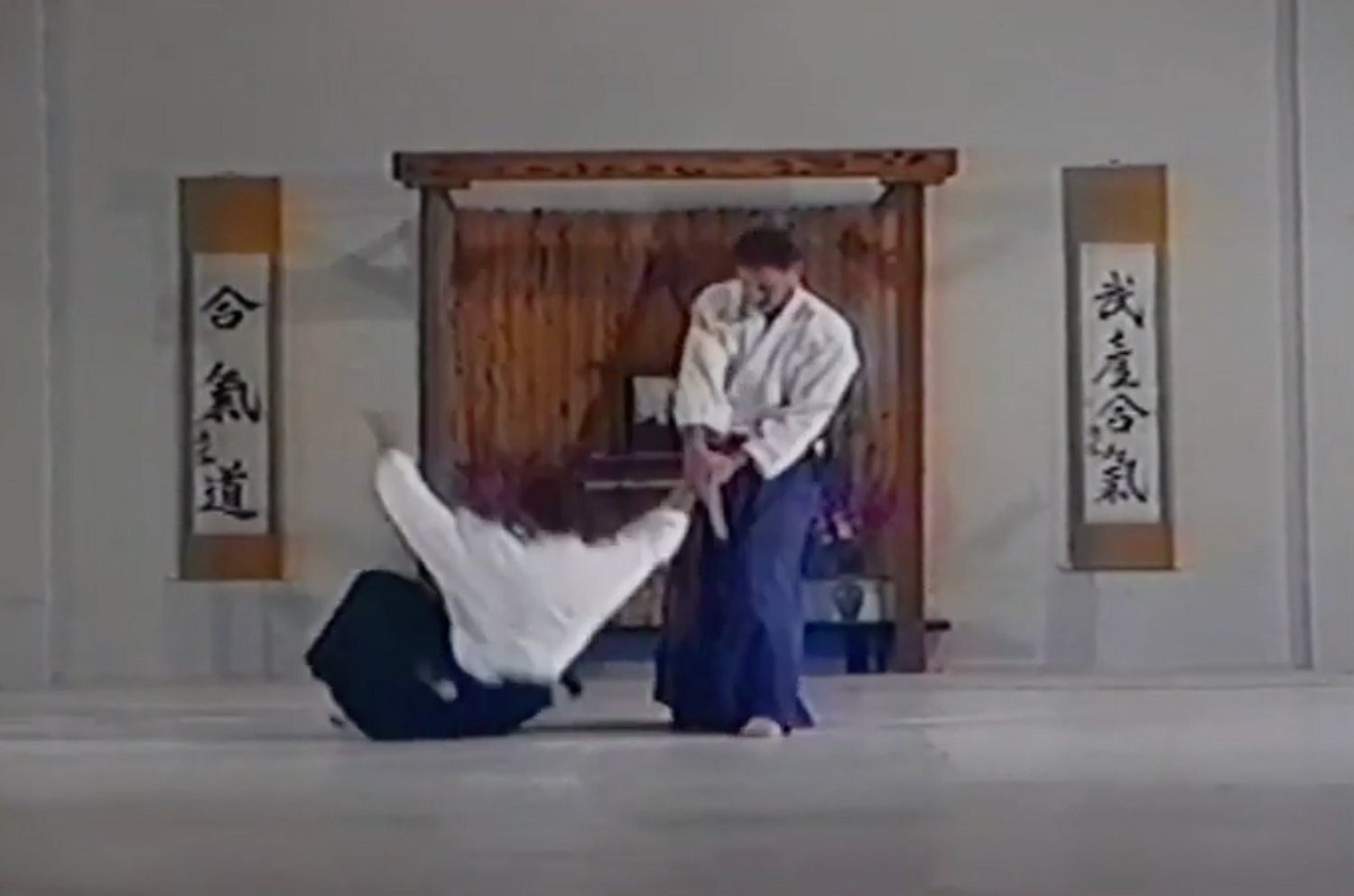 Complete Aikido Expo Collection 4 DVD Set by Aikido Today Magazine