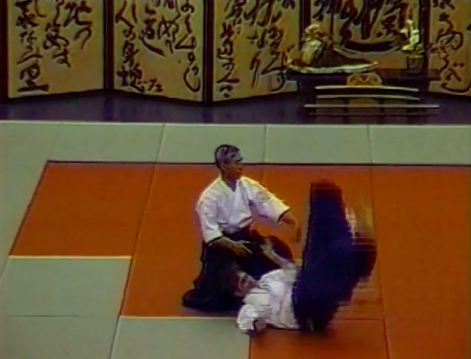 DVD del Festival de los Cerezos en Flor de Aikido