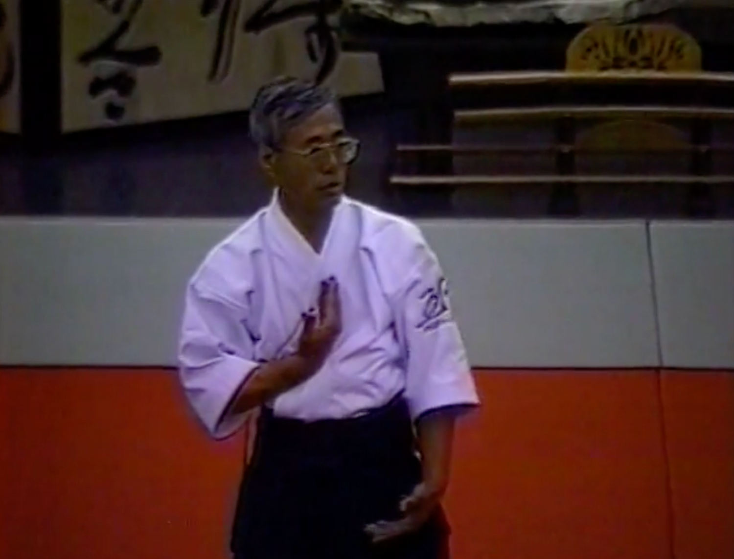 DVD del Festival de los Cerezos en Flor de Aikido