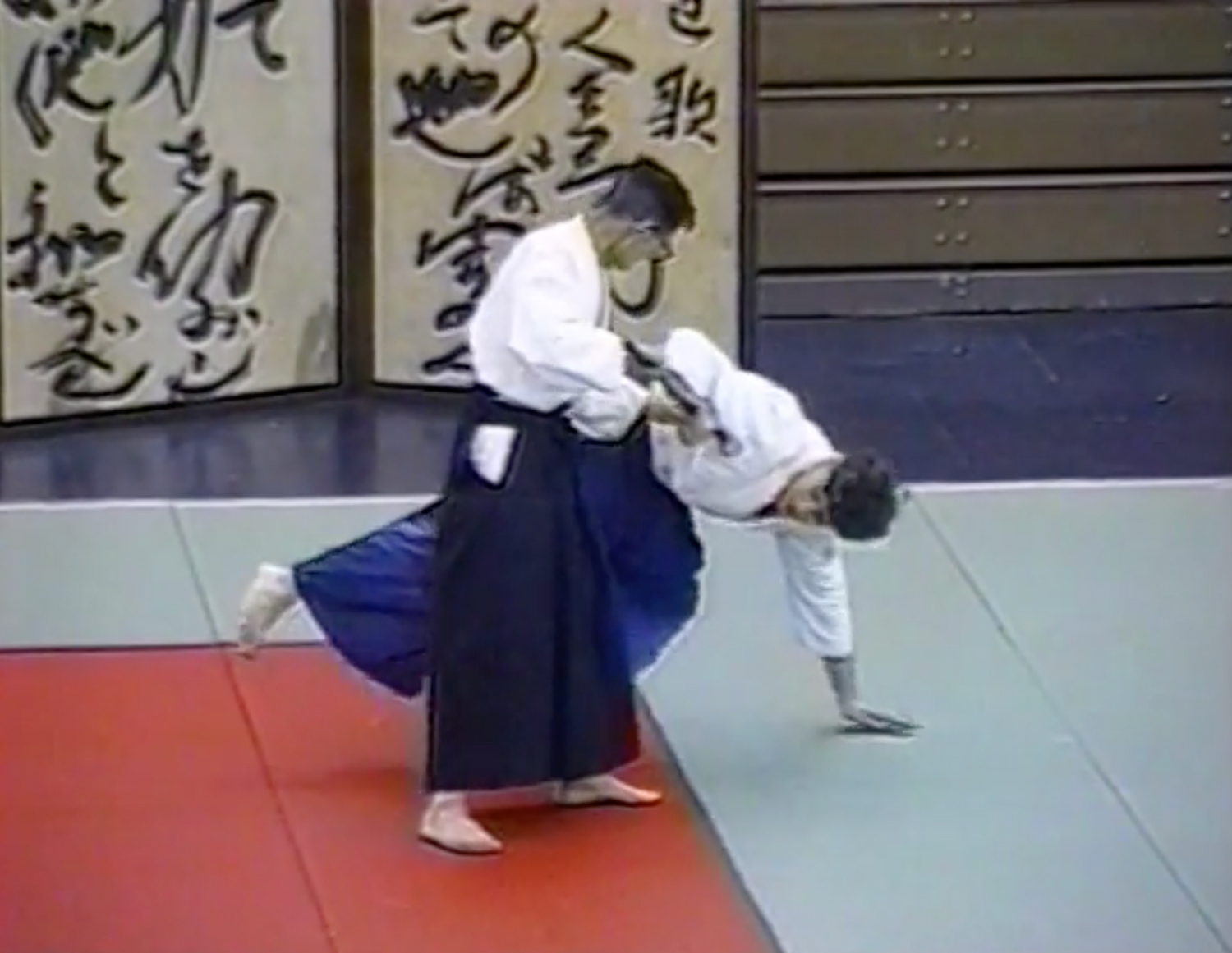 DVD del Festival de los Cerezos en Flor de Aikido