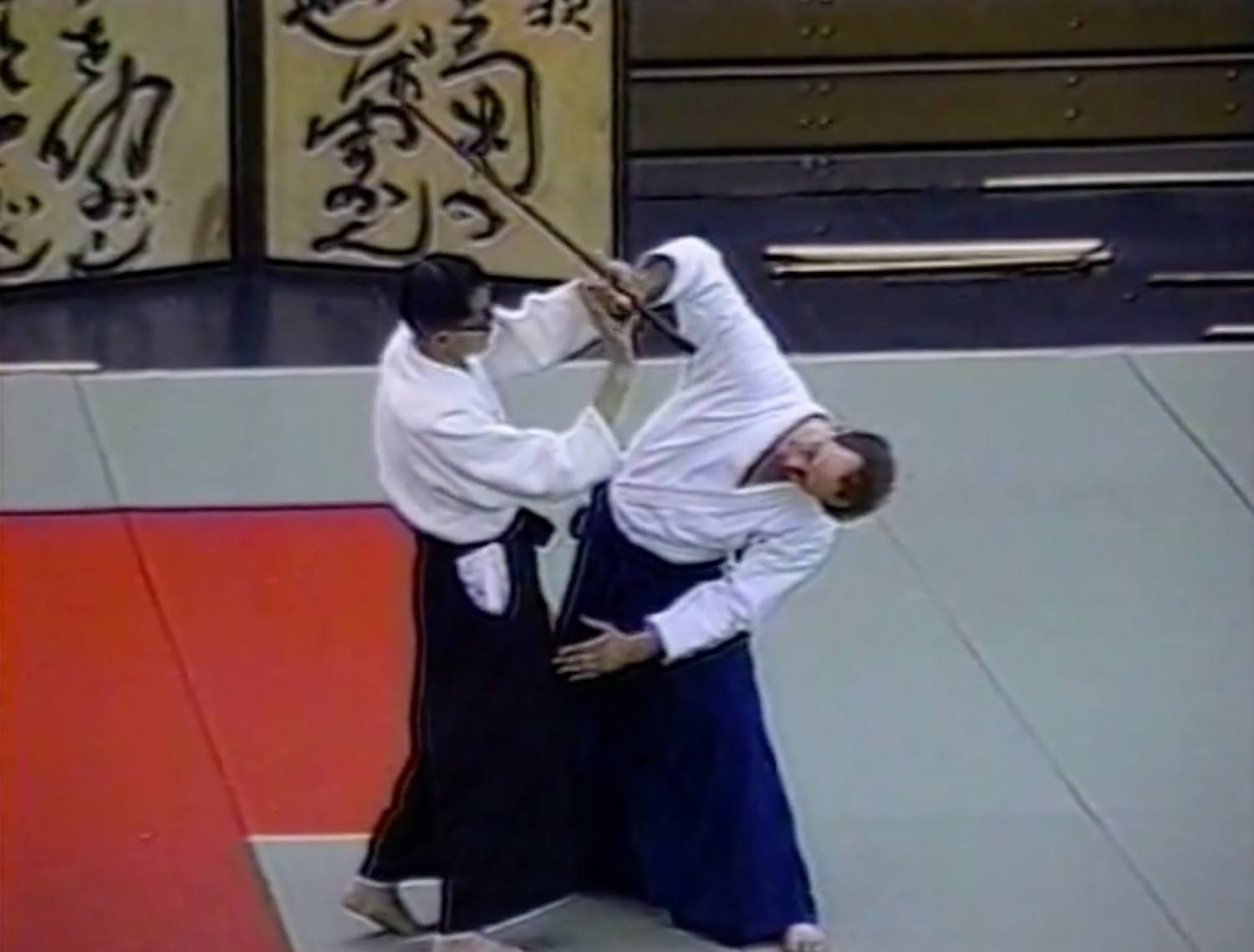 DVD del Festival de los Cerezos en Flor de Aikido