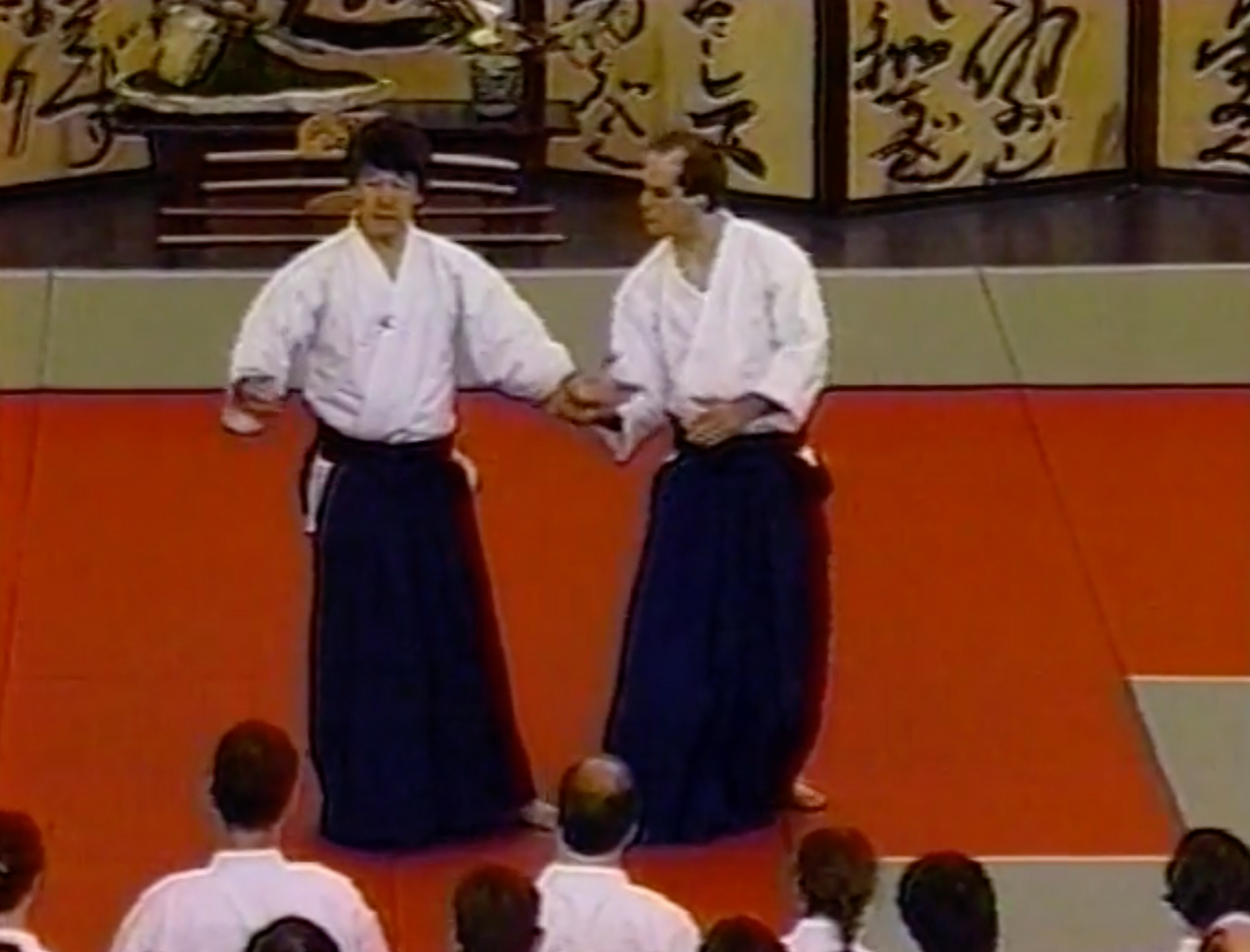 DVD del Festival de los Cerezos en Flor de Aikido