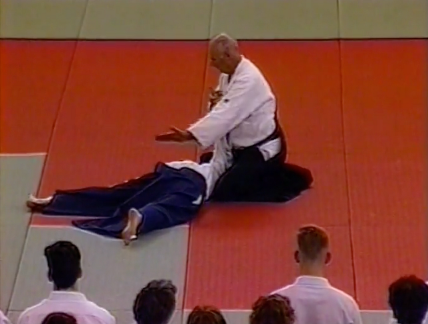 DVD del Festival de los Cerezos en Flor de Aikido