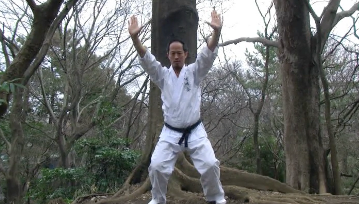 Aunkai 3 DVD Set by Minoru Akuzawa (Preowned)