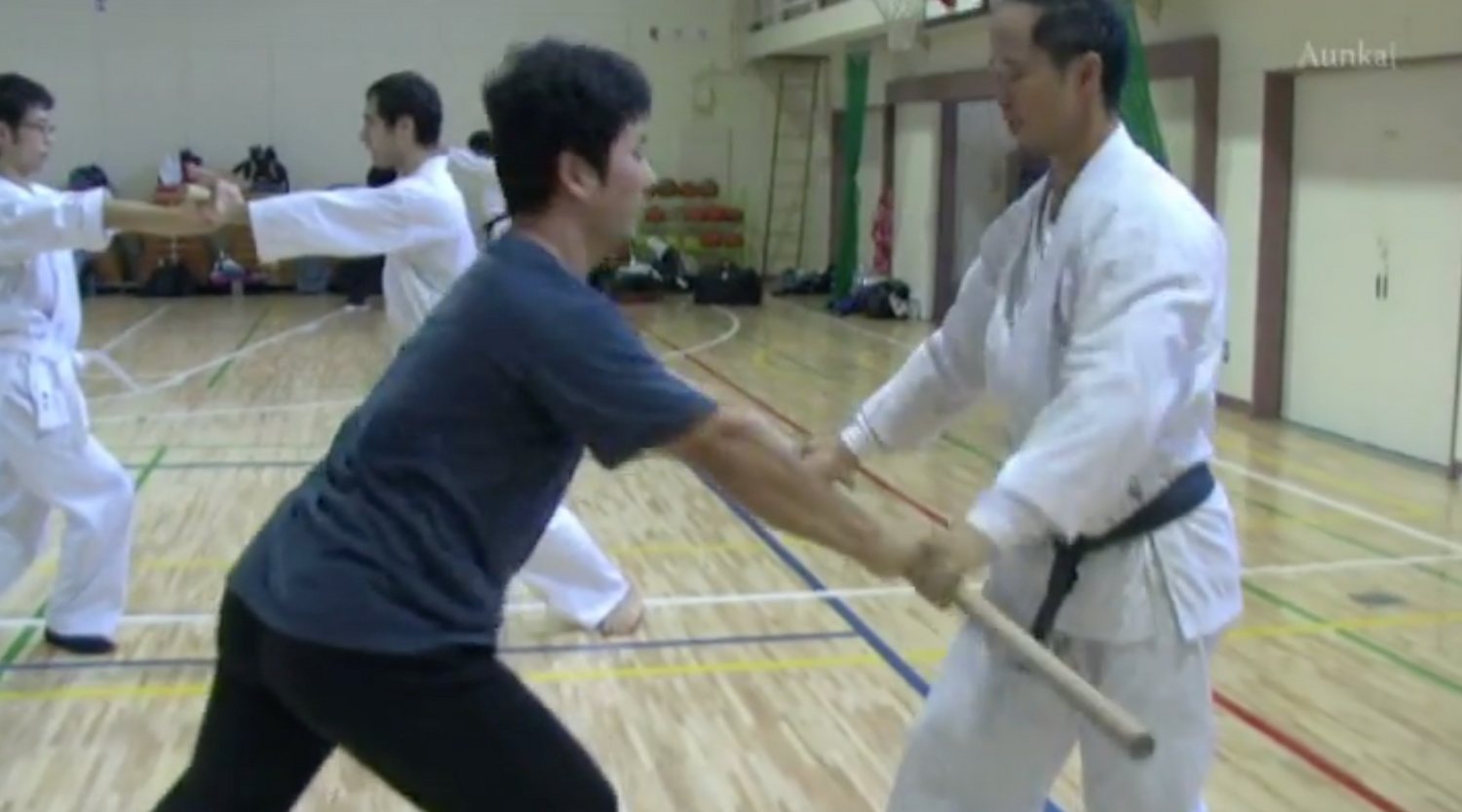 Aunkai 3 DVD Set by Minoru Akuzawa (Preowned)