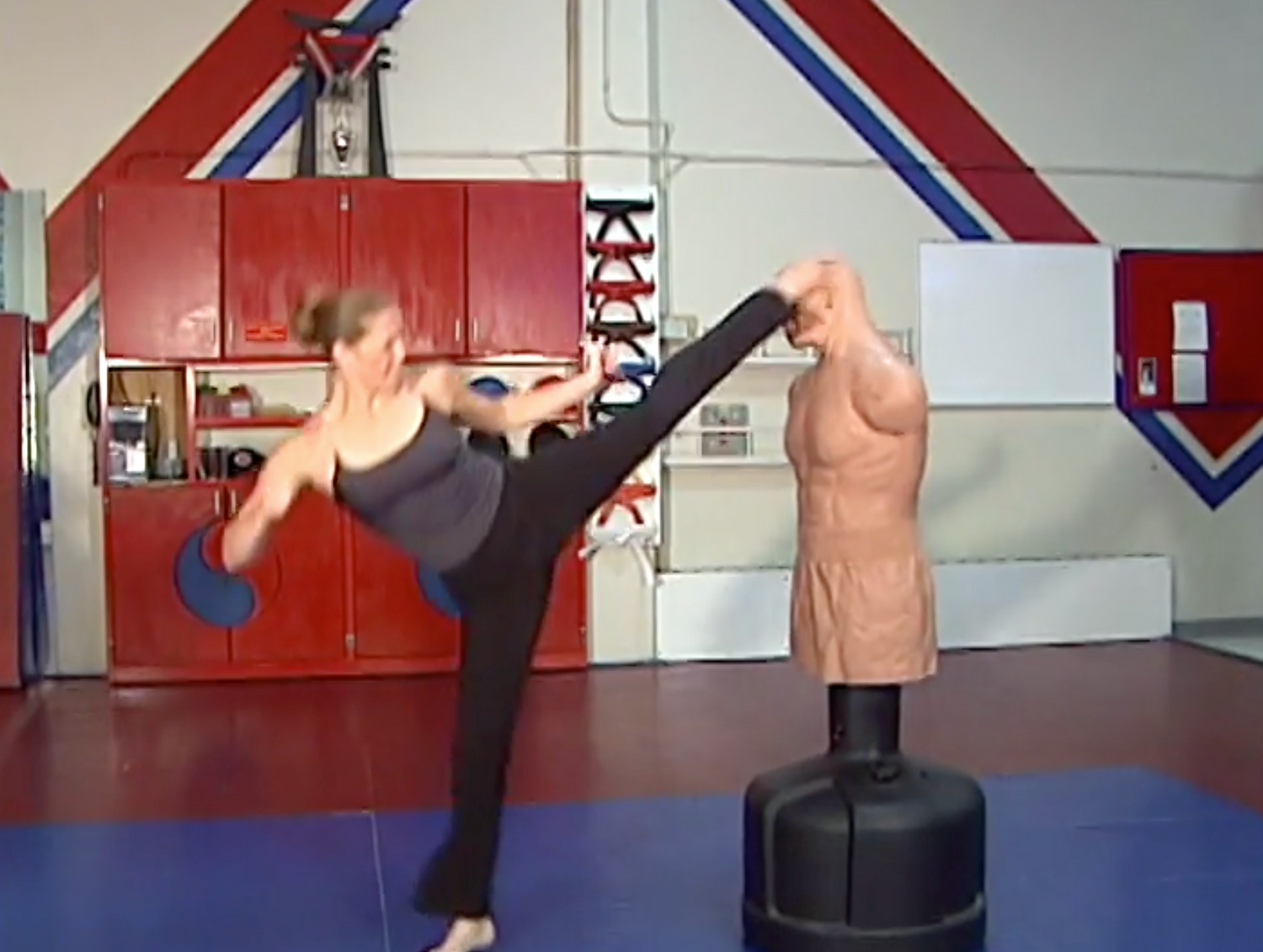 Super Kicks DVD by Erin Day