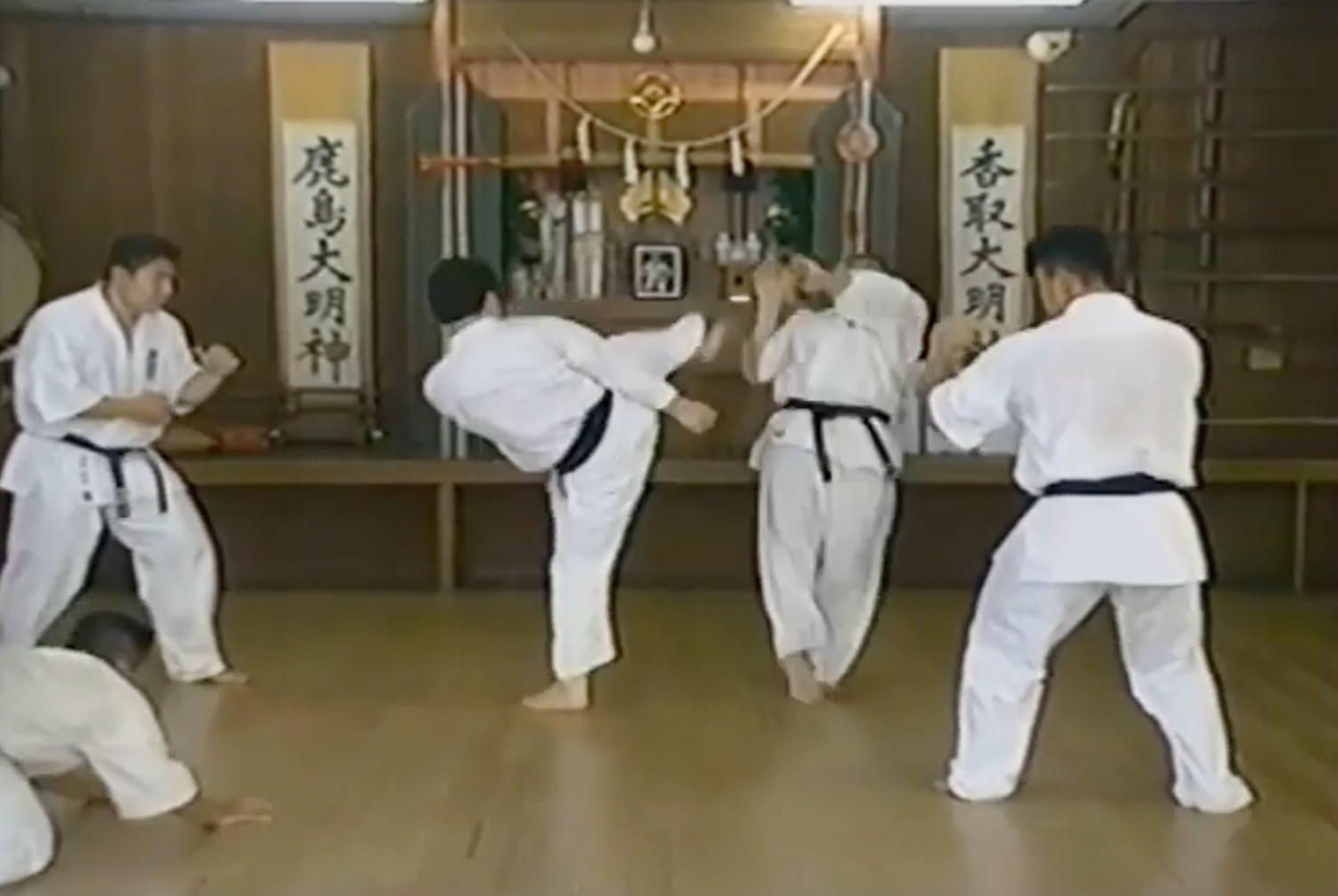 Kyokushin Karate Book & VHS by Shokei Matsui (Preowned)