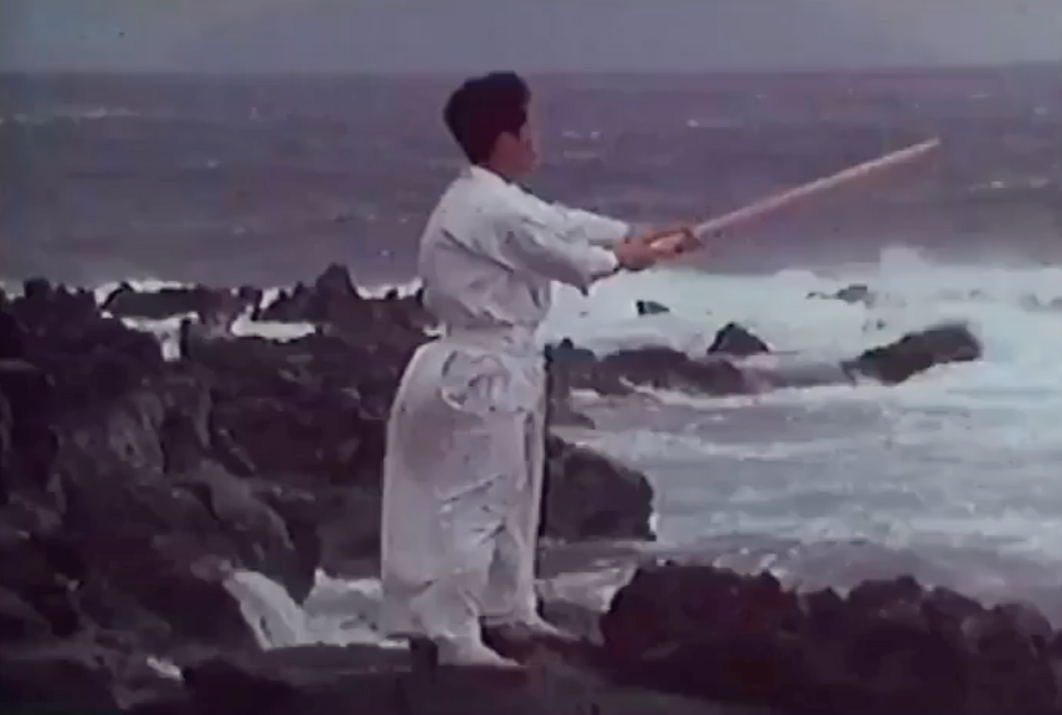 Shintaido Book & VHS Set by Hiroyuki Aoki (Preowned)