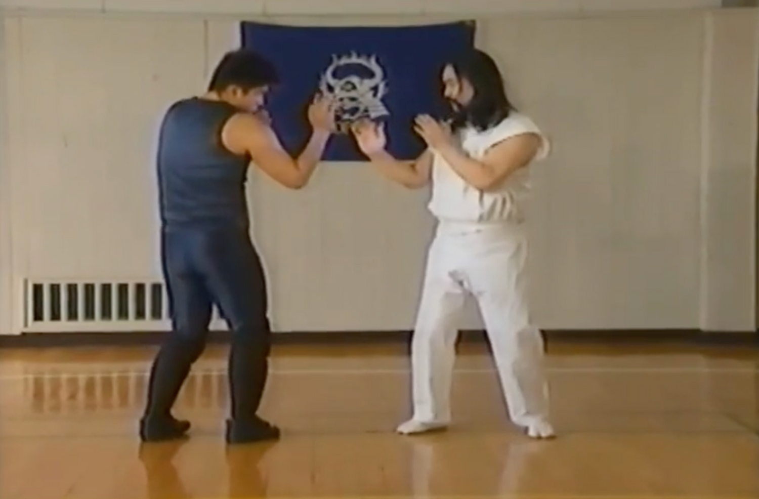 Koppo Basic Fighting Techniques Book & VHS by Masahi Horibe (Preowned)