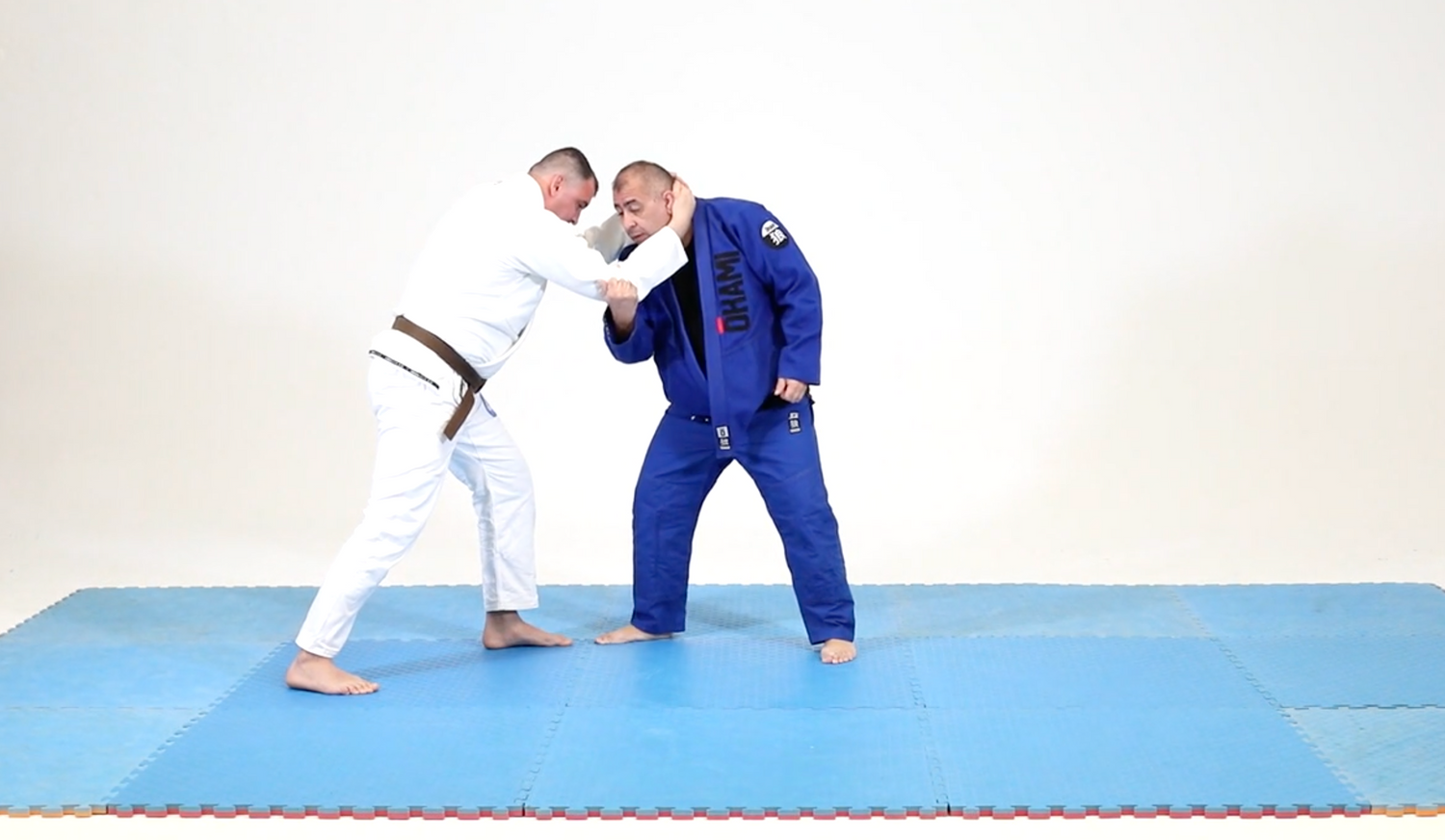 Gracie Jiu-Jitsu Advanced DVD 1 by Vacirca Bros