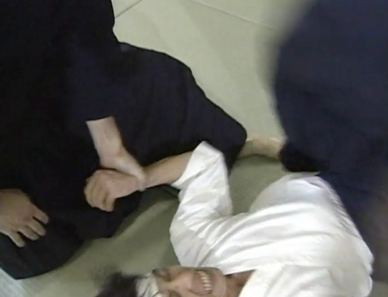Ai Suru Aiki: Kodo Horikawa's Daito Ryu Aikijujutsu DVD by Takeo Nishikido