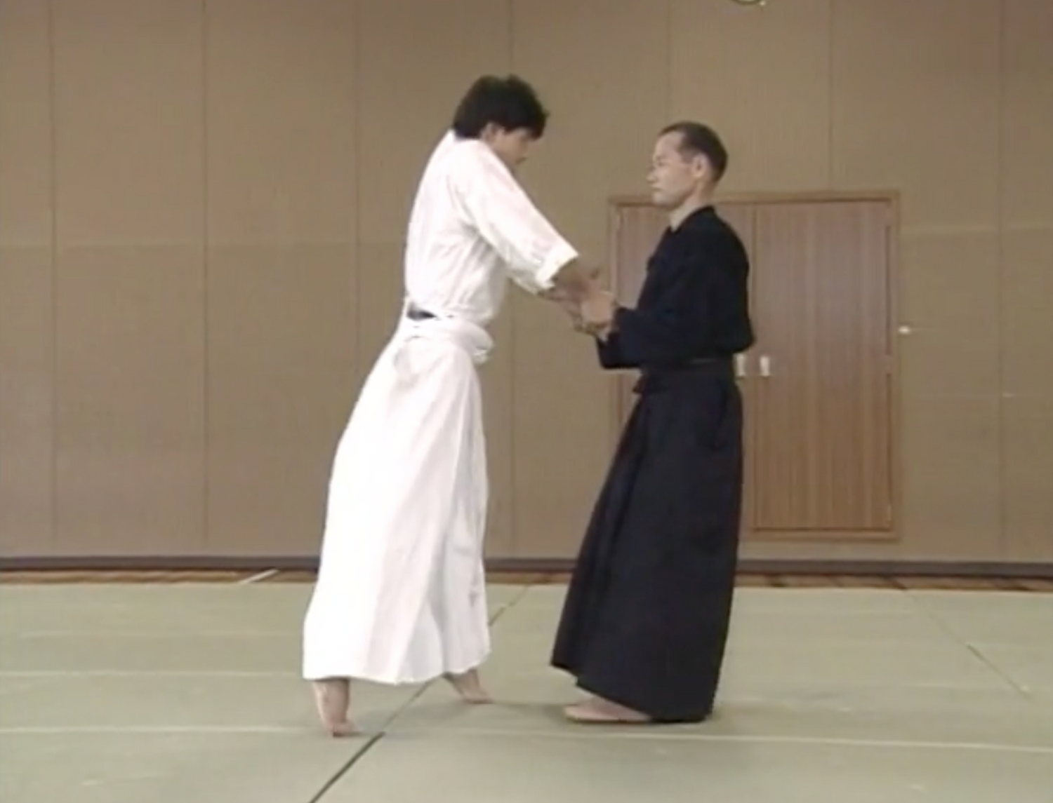 Ai Suru Aiki: Kodo Horikawa's Daito Ryu Aikijujutsu DVD by Takeo Nishikido