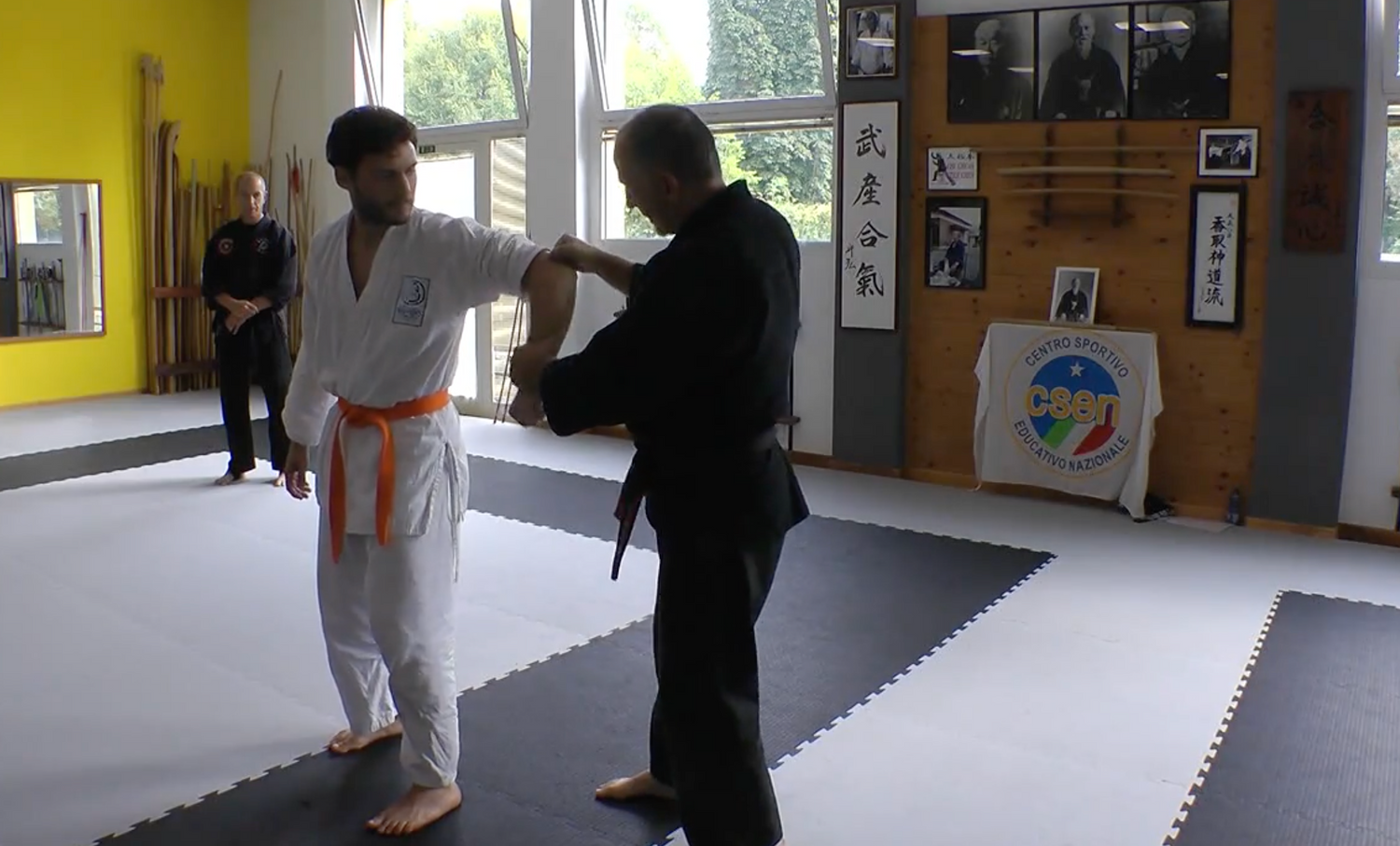Become a Kyusho Instructor DVD 1 by Gianluca Frisan