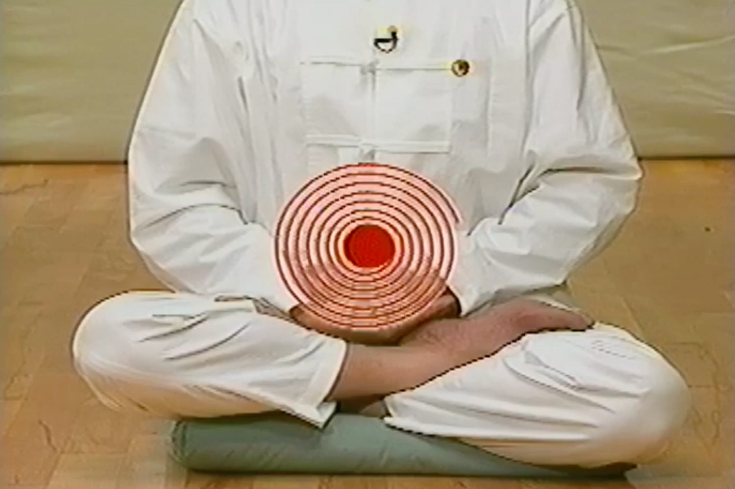 Yuan Qigong Book & VHS Set (Preowned)