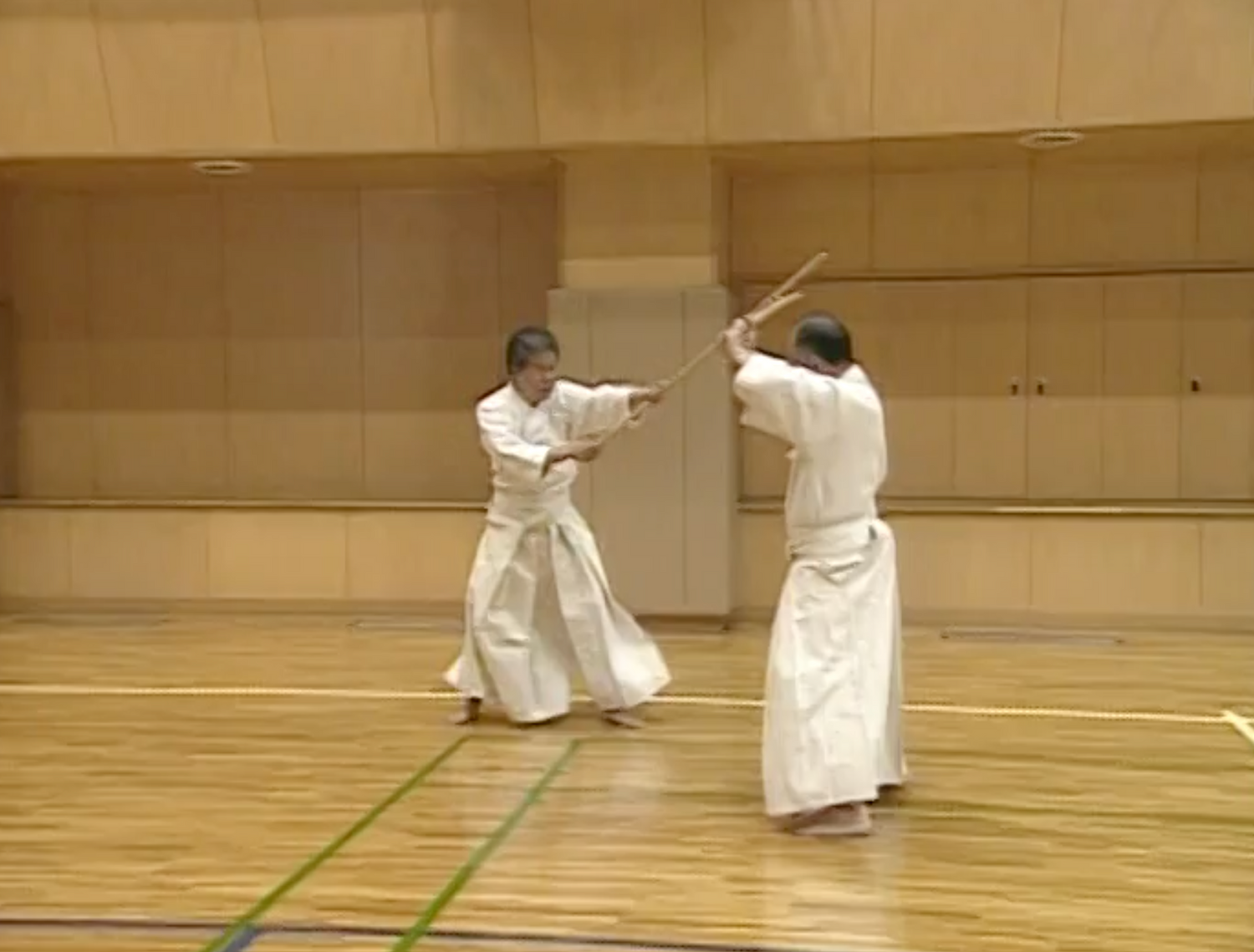 Shinto Muso Ryu: Technical Skills Vol 1 by Kenji Matsui DVD